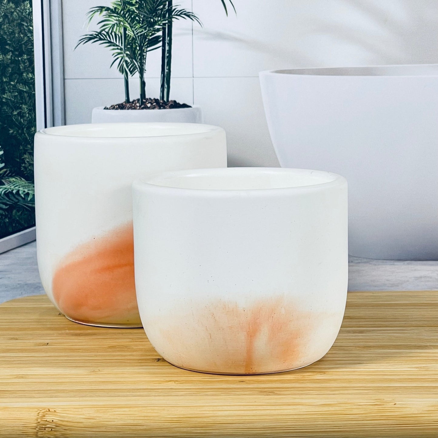 Dancing Berry - Apricot Pot