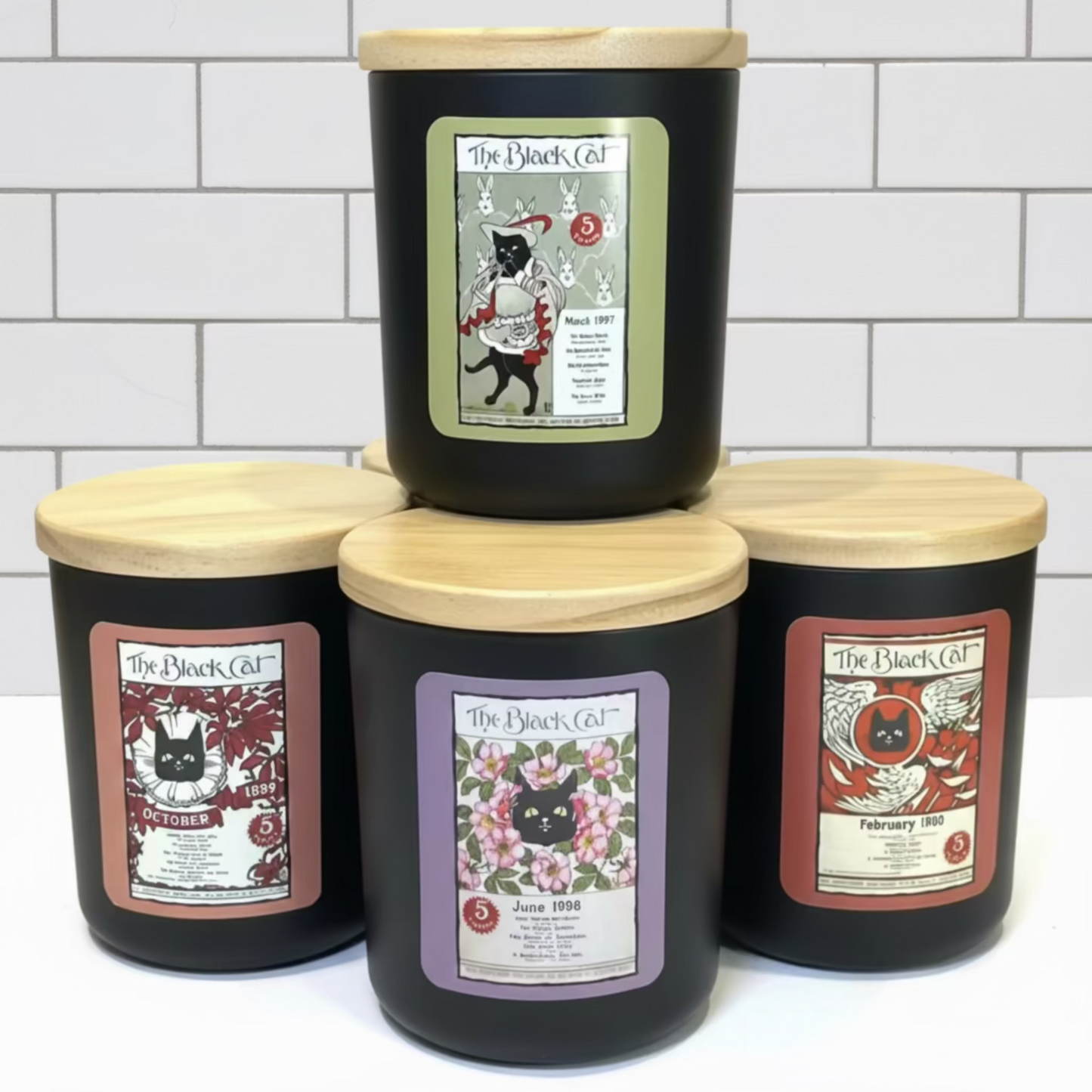 Cat & Rabbits - The Black Cat Range